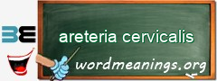 WordMeaning blackboard for areteria cervicalis